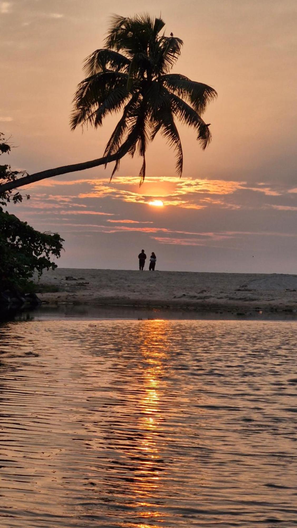 Gypsea Marari Bed & Breakfast Alappuzha Екстериор снимка